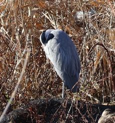 �A�I�T�M�i�{���j