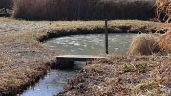 �r�̕X�i���ؓ��j