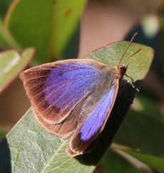 �����T�L�V�W�~���i���ؓ��j