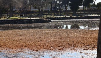 �X�C�����r�i�����j