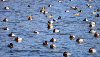 �z�V�n�W���i�����j