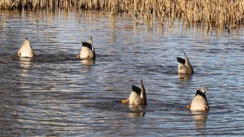 �I�J���V�K���i�����j