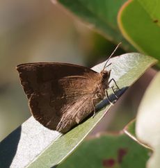 �����T�L�V�W�~���i���ؓ��j