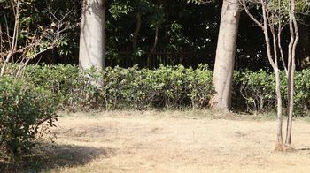 ���荞�܂ꂽ���_�i���ؓ��j