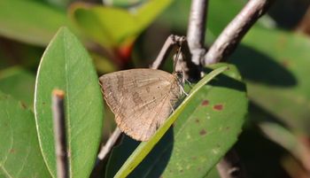 �����T�L�V�W�~�i���ؓ��j