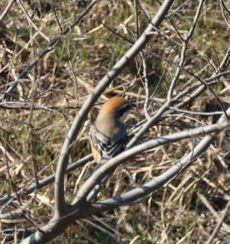 ���Y���i�x�m��j