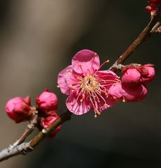 �g�~�i���ؓ��j