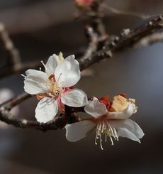 �����i���ؓ��j