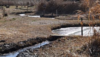 ���������Ӂi���ؓ��j