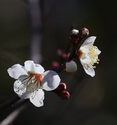 ���~�i���ؓ��j