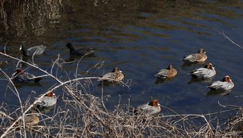 �q�h���K���i�x�m��j