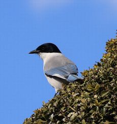 �I�i�K�i����j