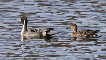 �I�i�K�K�������i�����j