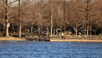 �O���������̃����J�����i�����j