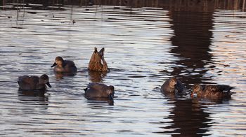 �I�J���V�K���i�����j