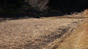 ����͂��ꂽ�����i���ؓ��j