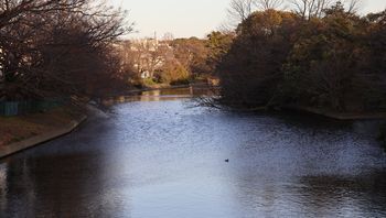 ����i�}�勴�j