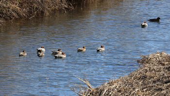 �q�h���K���i�x�m��j