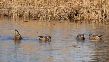 �I�J���V�K���i�����j