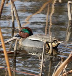 �R�K�����i�����j