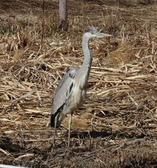 �A�I�T�M�i���ؓ��j