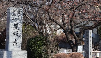 �c�ю��O�̉͒Í��i�k�����j