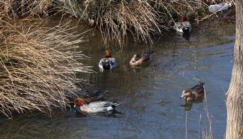 �q�h���K���i�x�m��j