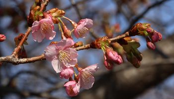 �͒Í��i�k�����j