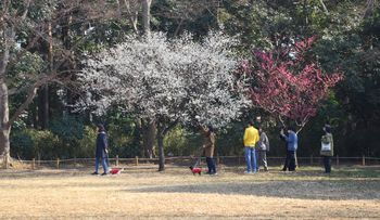 �g�~���~�i���ؓ��j