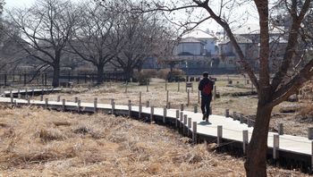 ���ؓ��隬�����i���ؓ��j