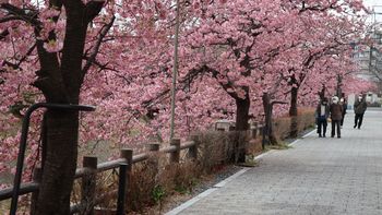 ���e�̂���Í��i���ˁj