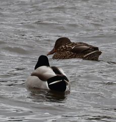 �}�K�������i�����j