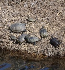 �~�V�V�b�s�A�J�~�~�K���i�x�m��j