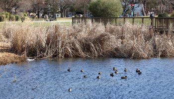 8���ڂ̒r�i�����j