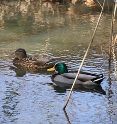 �}�K�������i�����j