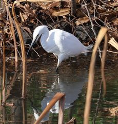 �R�T�M�i�����j