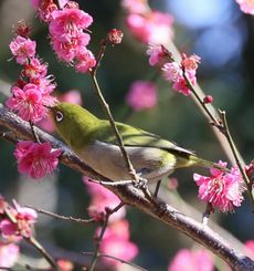 ���W���i���ؓ��j