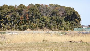 ��X���Ζʗсi��X���j