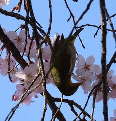 ���W���i���j