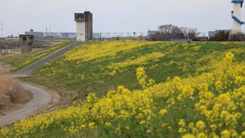 �]�ː�y��̍؉ԁi�]�ː�j