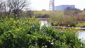 �͐�~�̍؉ԁi�]�ː�j