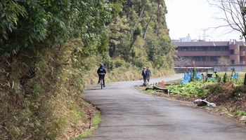 ��X���Ζʗщ��i��X���j