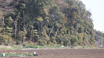 ��X���Ζʗсi��X���j