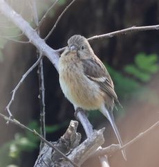 �x�j�}�V�R���i�]�ː�j