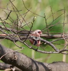 �x�j�}�V�R���i�]�ː�j