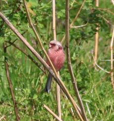 �x�j�}�V�R���i�]�ː�j