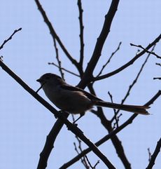 �G�i�K�i�]�ː�j