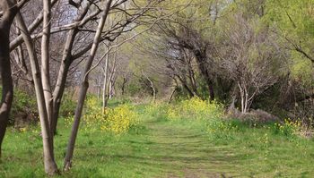 �����ۑS���H�e�i�]�ː�j