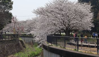 �����J�i���ؓ��j