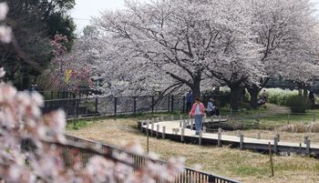 �����J�i���ؓ��j